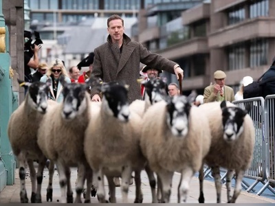 (ویدئو) ستاره هالیوود چوپان شد!؟/ فقط مردم که   با تعجب دارن فیلم و عکس میگیرن ازش!
