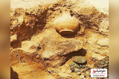 گنج هزارساله در جنگل؛ باستان‌شناسان شگفت‌زده شدند