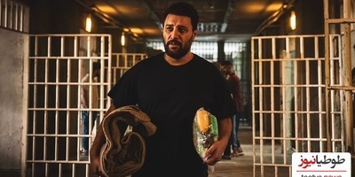 نگاهی به شمار زندانی هایی که با یاری هومن سیدی و عوامل سریال «وحشی» به آغوش خانواده بازگشتند