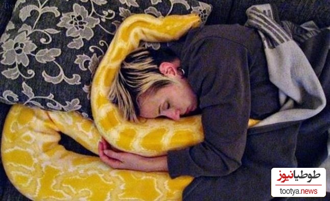 (ویدئو) مستند حیات وحش حیوانات/ لحظات دلهره آور و حشتناک حمله مار پیتون به زنی در خواب، خواهرم وصیتت رو نوشته بودی؟