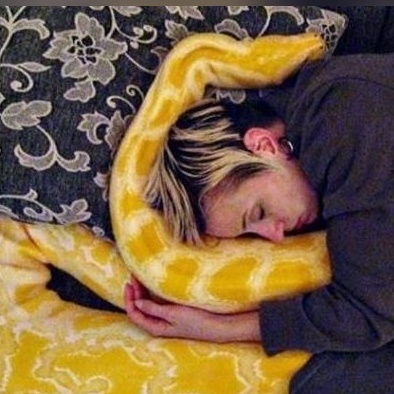 (ویدئو) مستند حیات وحش حیوانات/ لحظات دلهره آور و حشتناک حمله مار پیتون به زنی در خواب، خواهرم وصیتت رو نوشته بودی؟