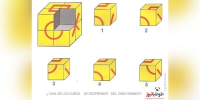 چالش روزانه‌ی باهوش شو!/ می دانید فقط 4 درصد مردم عادی میتوانند این چالش بازی فکری را حل کنند/ مکعب گم شده کدام است؟