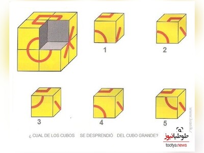 چالش روزانه‌ی باهوش شو!/ می دانید فقط 4 درصد مردم عادی میتوانند این چالش بازی فکری را حل کنند/ مکعب گم شده کدام است؟