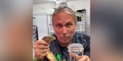 فیلم: یکی از حیاتی‌ترین فرایندهای پزشکی جهان، اگه زهر مار رو از نردیک ندیدی این ویدئو رو حتما ببین