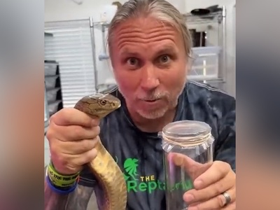 فیلم: یکی از حیاتی‌ترین فرایندهای پزشکی جهان، اگه زهر مار رو از نردیک ندیدی این ویدئو رو حتما ببین