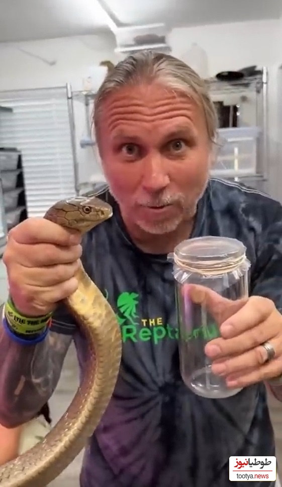 فیلم: یکی از حیاتی‌ترین فرایندهای پزشکی جهان، اگه زهر مار رو از نردیک ندیدی این ویدئو رو حتما ببین