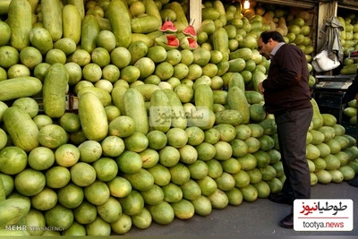 هندوانه رسیده را چطور بشناسیم؟ | فوت‌وفن‌های خرید آسان و بدون پشیمانی + داستان چراییِ حضور هندوانه در بلندترین شب سال/ ببینید