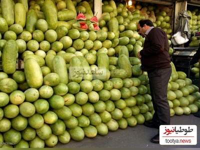 هندوانه رسیده را چطور بشناسیم؟ | فوت‌وفن‌های خرید آسان و بدون پشیمانی + داستان چراییِ حضور هندوانه در بلندترین شب سال/ ببینید