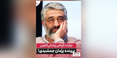 ویدئو/ تعریف و تمجید و دفاع ویژه وکیل پژمان جمشیدی: هفته آینده به ایران برمیگرده