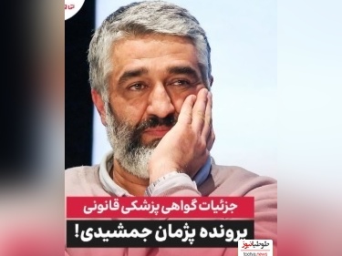 ویدئو/ تعریف و تمجید و دفاع ویژه وکیل پژمان جمشیدی: هفته آینده به ایران برمیگرده