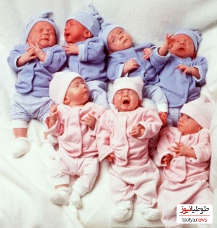 خلاقیت خنده دار یک زوج باهوش برای سفارش کالسکه 6قلوهایشان حماسه آفرید/ مغز این دانشمندارو باید طلا گرفت🤣