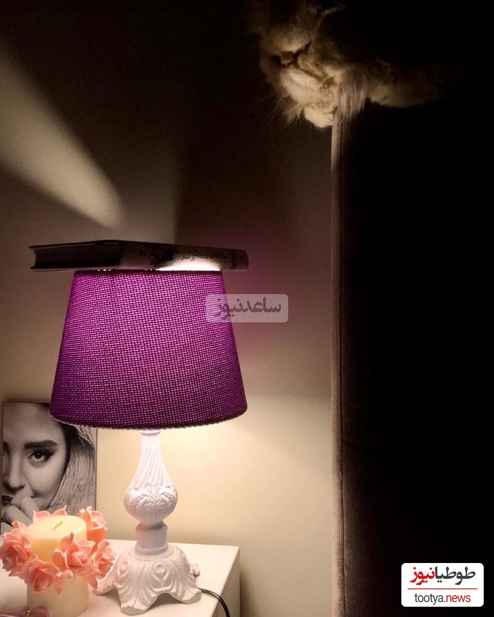 چیدمان منزل علی اوجی و نرگس محمدی