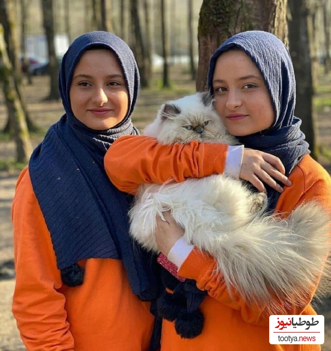 صحبت های محسن تنابنده درباره سارا و نیکا فرقانی: توانایی‌های بازیگریشان در حدی نیست که بتوانیم روی آن‌ها تکیه کنیم