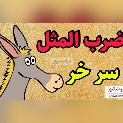 نگاهی به ضرب‌المثل جذاب و خواندنی/ اصطلاح سر خر از کجا آمده؟ الحق که به جا بود+ ویدئو