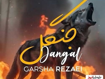 دانلود آهنگ جدید از گرشا رضایی به نام جنگل+متن که حتما دلتو به درد میاره/جوجه های ده روزه جنگلی میسوزه