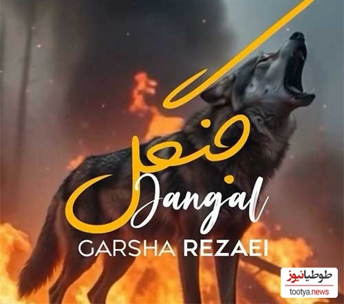 دانلود آهنگ جدید از گرشا رضایی به نام جنگل+متن که حتما دلتو به درد میاره/جوجه های ده روزه جنگلی میسوزه