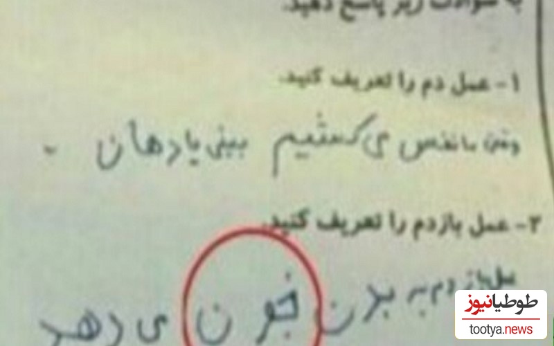 خلاقیت