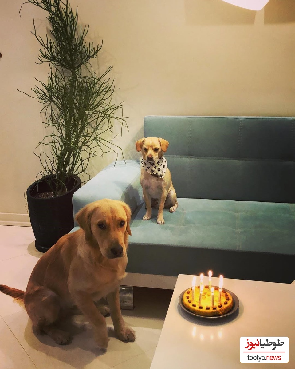 منزل شیدا خلیق و کیوان ساکت اف