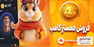 آیا همستر لیست میشود؟!/ خبر خوش برای کاربران همستر از زبان اسپانسر های برنامه!