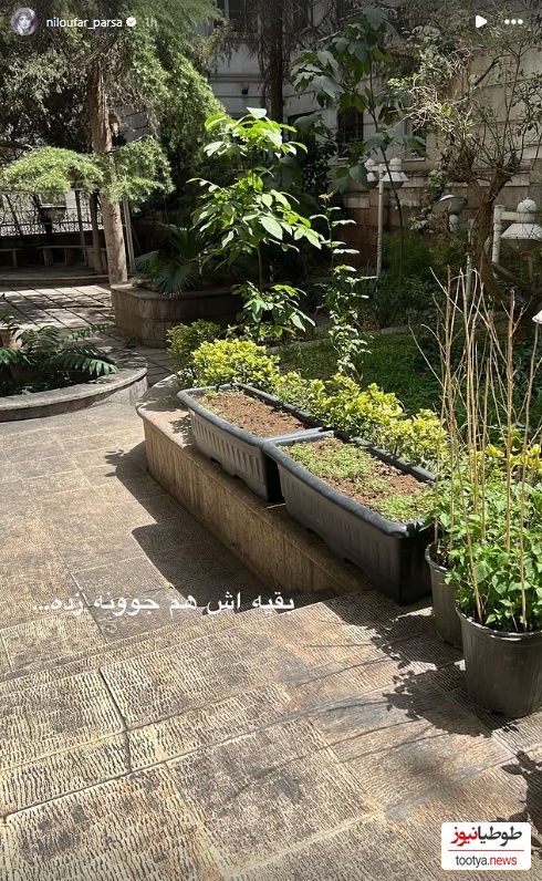 باغچه نیلوفر پارسا