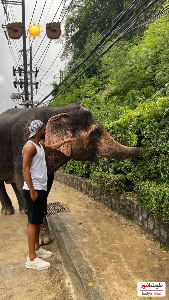 رامین رضائیان