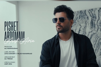 دانلود رایگان آهنگ  عاشقانه از آصف آریا به نام پیشت آرومم + متن ترانه/زندم به عشق دیدنت دلم فقط تو رو میخواد تا اومدی مردم برات