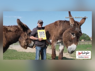 (ویدئو) مستند حیات وحش حیوانات: بلندقدترین اُلاغ رکورد گینس را از آن خودش کرد