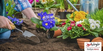 خلاقیت جالب باغبانی که مطمئنا به دردتون میخوره / اگه عاشق گل و گیاهی این آموزش رو از دست نده+ ویدیو