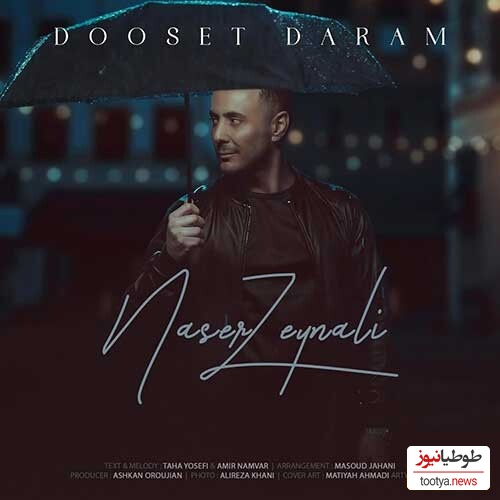 دانلود آهنگ جدید ناصر زینعلی «دوست دارم»/ مثل یه منظره بکری، تماشایی میشی وقتی تو فکری