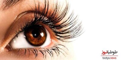 بمب خانگی برای رشد مژه در یک هفته ! / زیبایی چشمانتان را چند برابر کنید !
