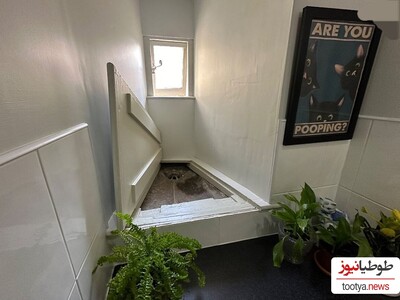 (تصاویر) کشف چهرۀ 600 سالۀ «بچه‌جنّ» در توالت یک خانۀ قدیمی