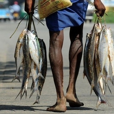 (عکس) خلاقیت باورنکردنی ماهیگیران فقیر سریلانکا برای رفتن به دریا بدون قایق، برنده جایزه مسابقات عکاسی 2024 شد/ چه عکس هنری و جذابی هم از فقر گرفته👌