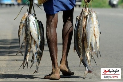 (عکس) خلاقیت باورنکردنی ماهیگیران فقیر سریلانکا برای رفتن به دریا بدون قایق، برنده جایزه مسابقات عکاسی 2024 شد/ چه عکس هنری و جذابی هم از فقر گرفته👌