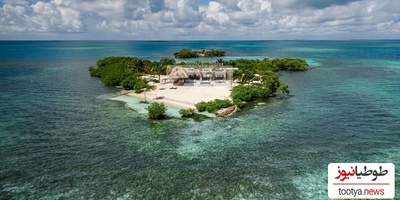 ناب ترین لحظاتی که تا به حال در هیچ کجا ندیده اید در این ویدئو در حال رخ دادن  است!