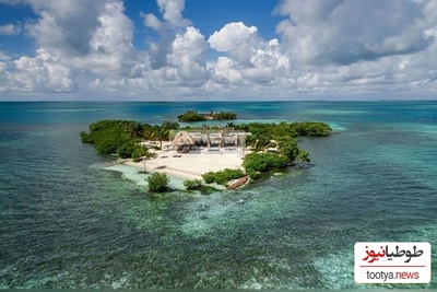 ناب ترین لحظاتی که تا به حال در هیچ کجا ندیده اید در این ویدئو در حال رخ دادن  است!