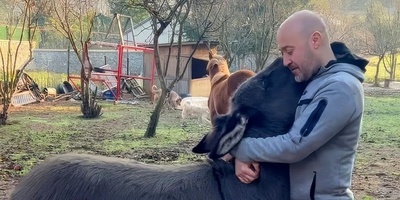 (ویدئو) ابراز علاقه دیوانه‌وار اُلاغ یتیم به مرد خوش قلبی که اونو از گوشه خیابون نجات داده بود/ با حیوانات مهربان باشیم