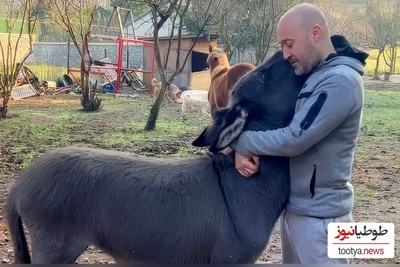 (ویدئو) ابراز علاقه دیوانه‌وار اُلاغ یتیم به مرد خوش قلبی که اونو از گوشه خیابون نجات داده بود/ با حیوانات مهربان باشیم