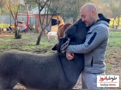 (ویدئو) ابراز علاقه دیوانه‌وار اُلاغ یتیم به مرد خوش قلبی که اونو از گوشه خیابون نجات داده بود/ با حیوانات مهربان باشیم