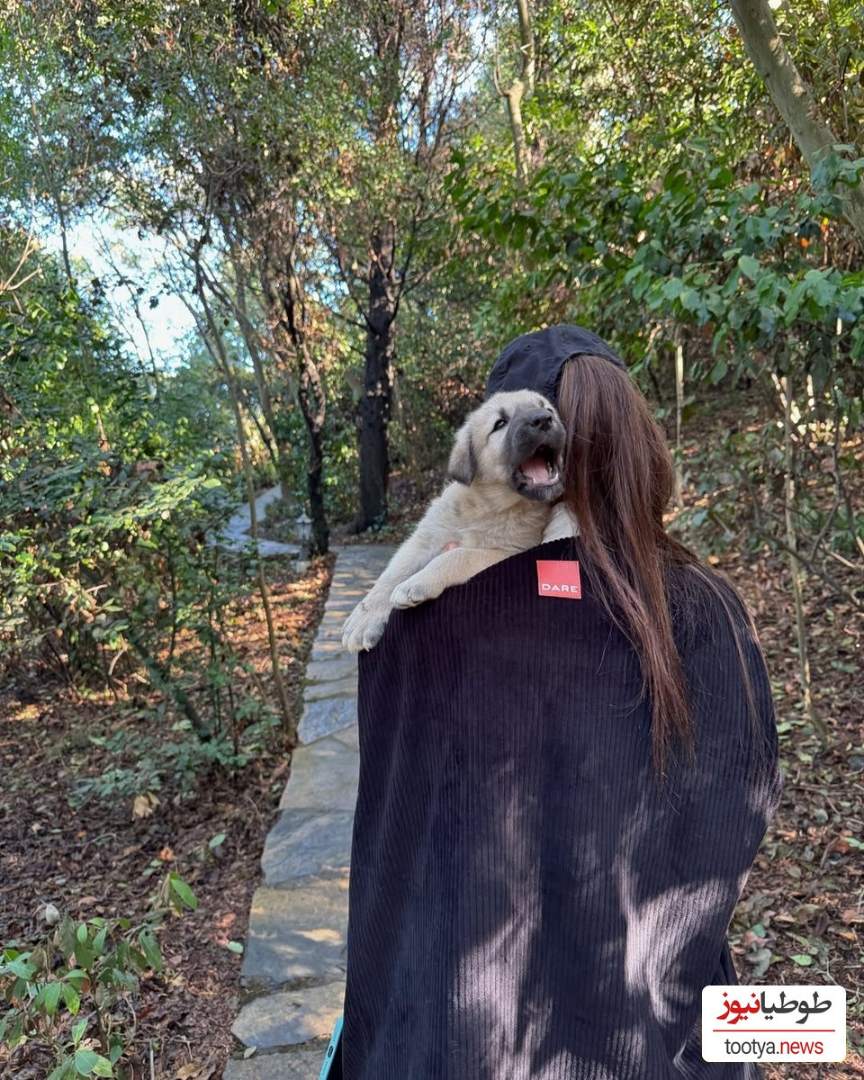 منزل هانده ارچل