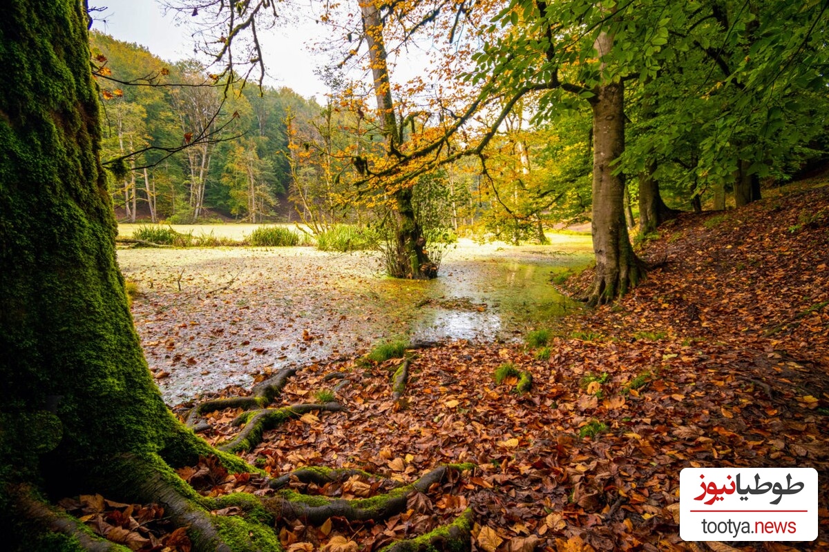  مرداب دیوک؛ ایران