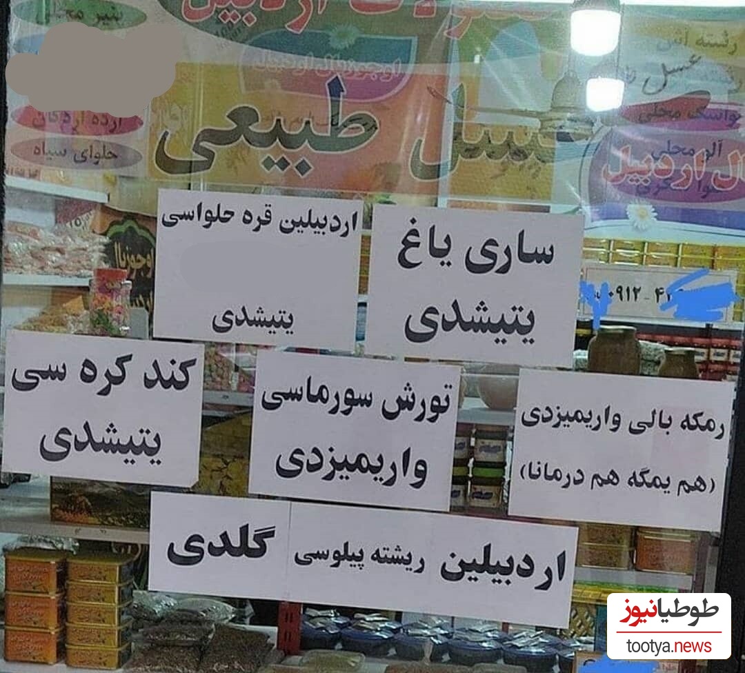 خلاقیت اردبیلی