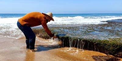 تا به حال فرآیند برداشت جلبک دریایی رو دیده بودید؟این چشم بادومی ها به جلبک هم رحم نمیکنن+ویدئو