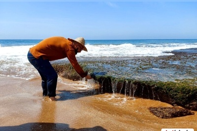 تا به حال فرآیند برداشت جلبک دریایی رو دیده بودید؟این چشم بادومی ها به جلبک هم رحم نمیکنن+ویدئو