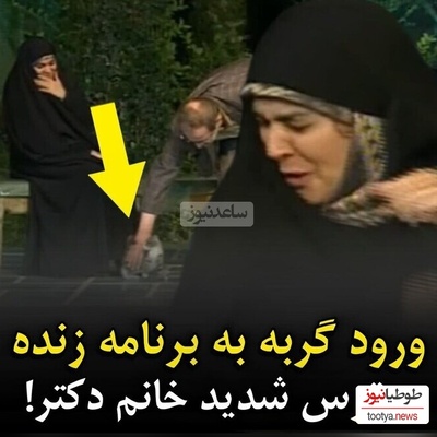 جیغ خانم دکتر در آنتن زنده با ورود گربه بازیگوش به زیر پای او + ویدئو / گربه است دیگه پلنگ که نیست 🙄