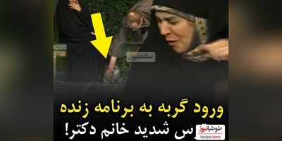 جیغ خانم دکتر در آنتن زنده با ورود گربه بازیگوش به زیر پای او + ویدئو / گربه است دیگه پلنگ که نیست 🙄