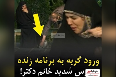 جیغ خانم دکتر در آنتن زنده با ورود گربه بازیگوش به زیر پای او + ویدئو / گربه است دیگه پلنگ که نیست 🙄