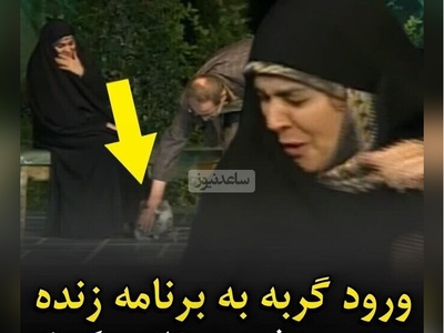 جیغ خانم دکتر در آنتن زنده با ورود گربه بازیگوش به زیر پای او + ویدئو / گربه است دیگه پلنگ که نیست 🙄