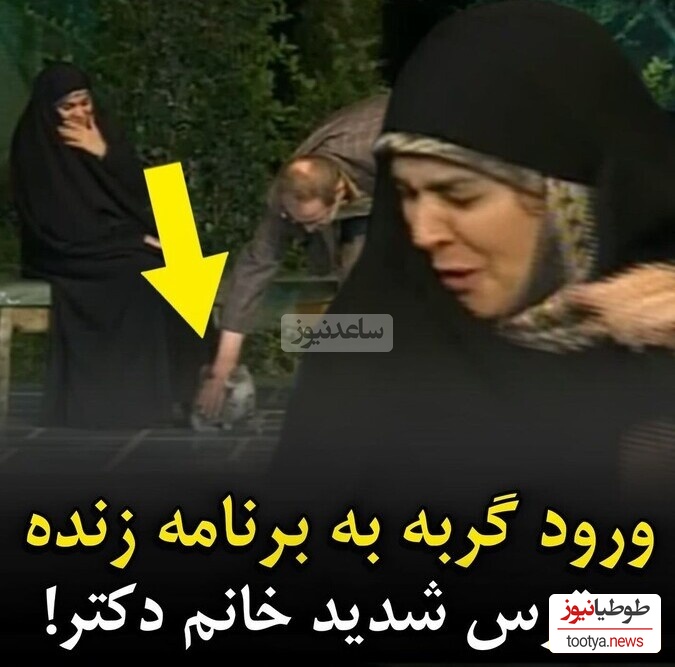 جیغ خانم دکتر در آنتن زنده با ورود گربه بازیگوش به زیر پای او + ویدئو / گربه است دیگه پلنگ که نیست 🙄