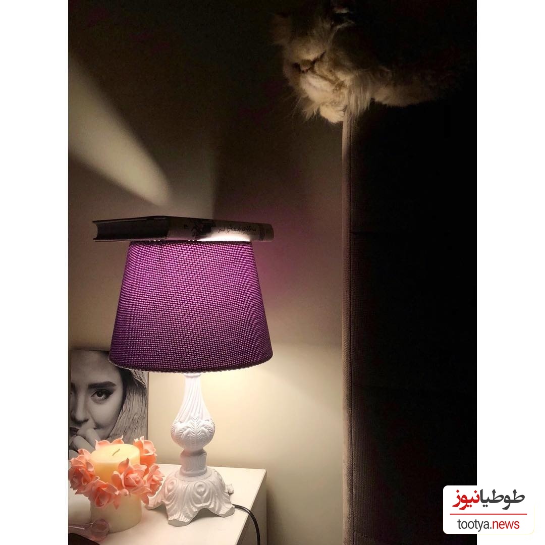منزل نرگس محمدی