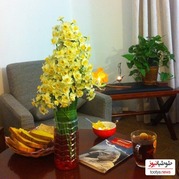 منزل مهراوه شربفی نیا